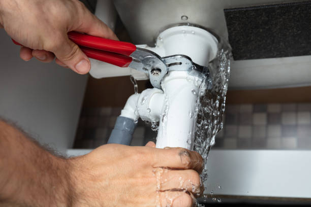 Best Water damage restoration mold remediation  in Oak Park, CA