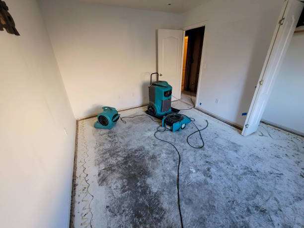 Best Emergency water damage restoration  in Oak Park, CA