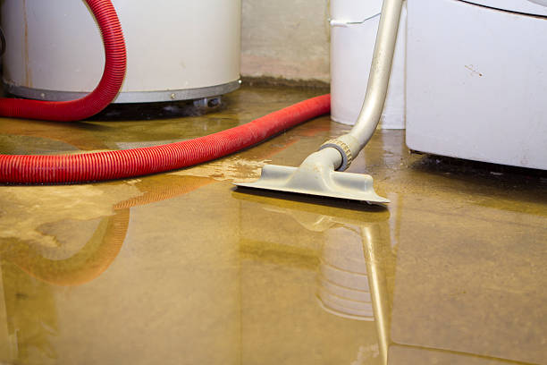 Best Flood restoration services  in Oak Park, CA