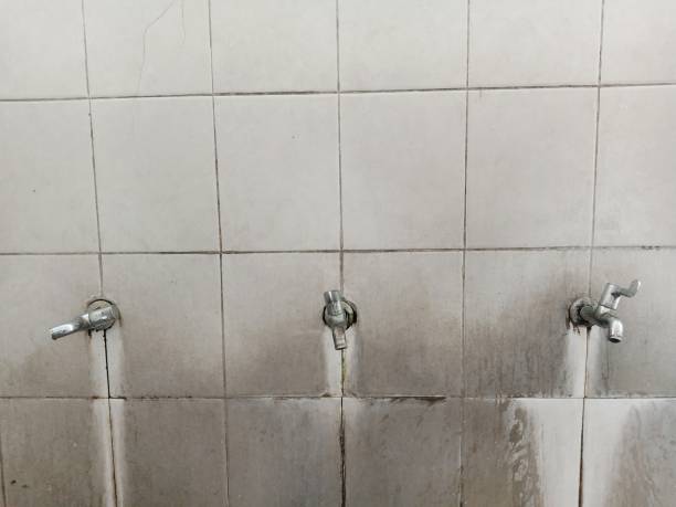 Best 24/7 water damage repair  in Oak Park, CA
