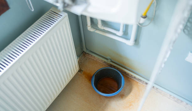 Best Carpet water damage restoration  in Oak Park, CA