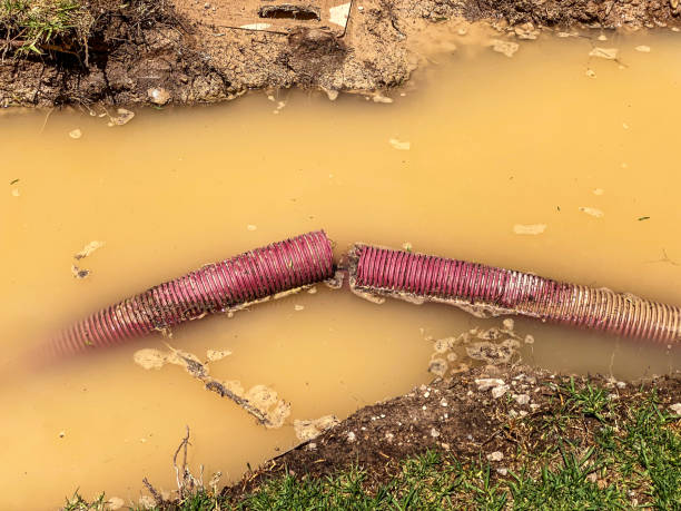 Best Basement water damage restoration  in Oak Park, CA